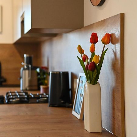 Veliki Apartman Petra Posedarje Dış mekan fotoğraf